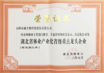 林業(yè)產(chǎn)業(yè)化省級重點化龍頭企業(yè)