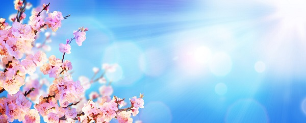 戰(zhàn)疫情，北京韋林公司全體員工齊心協(xié)力共克時艱！